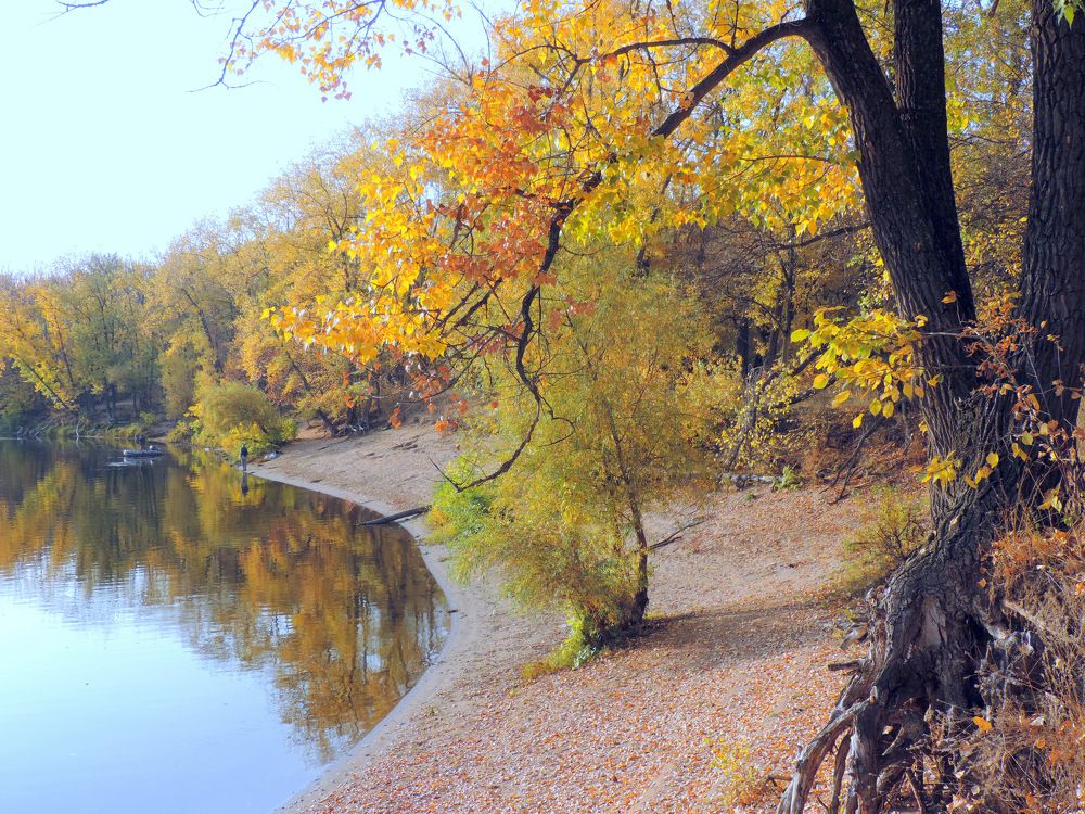 Photograph by Елена Шубочкина