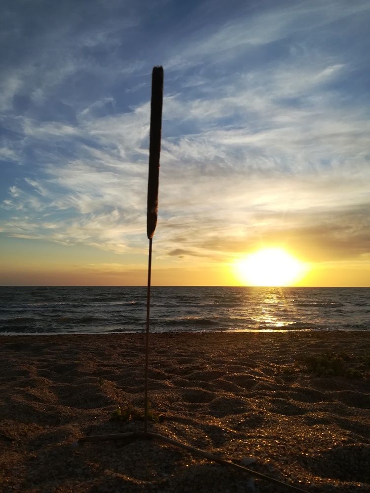 Photo #6569128