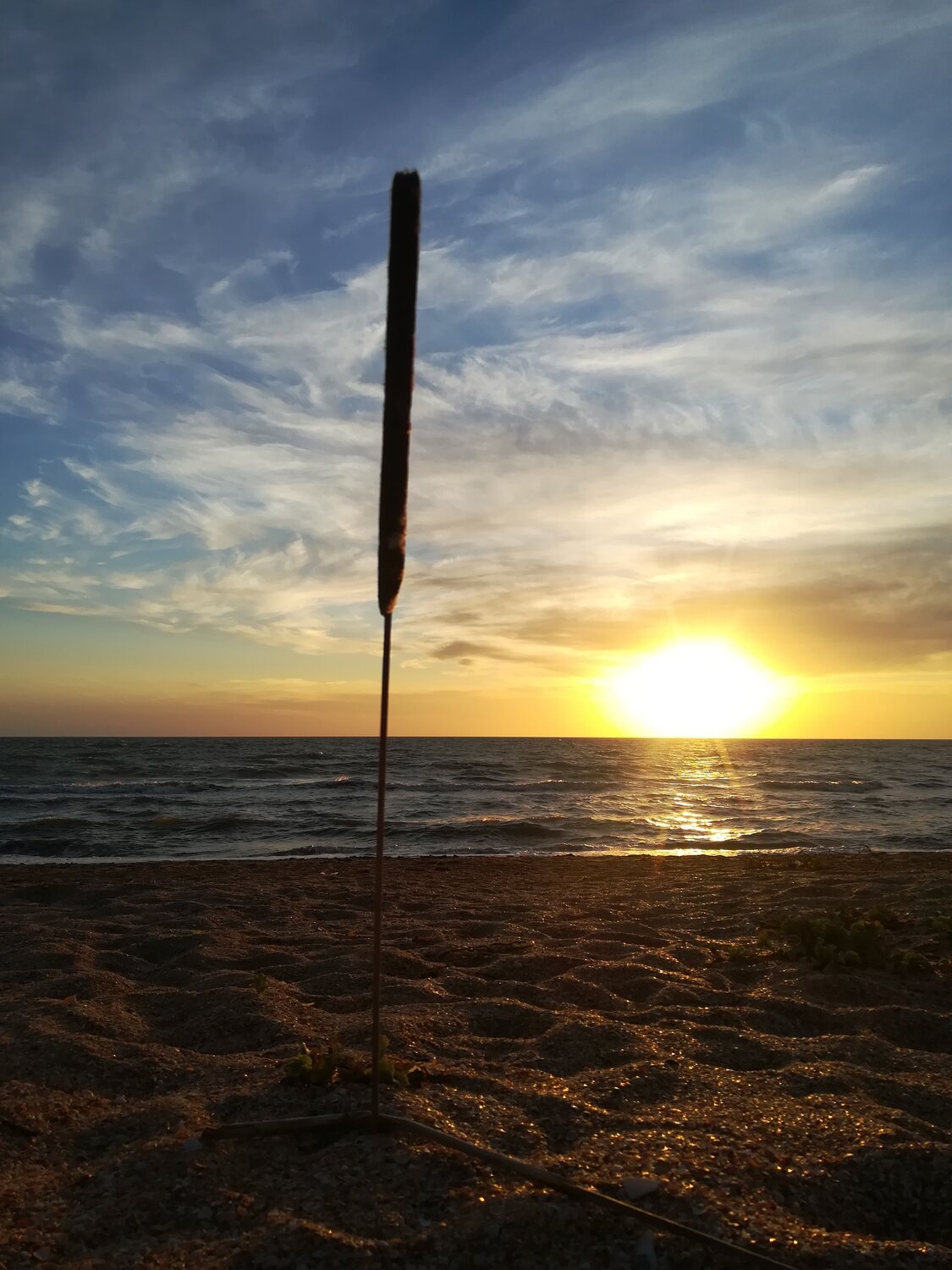 Photo #6569128