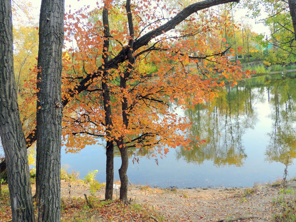 Photograph by Елена Шубочкина