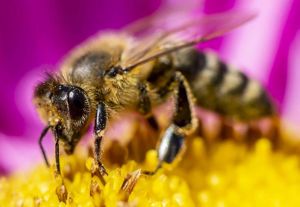 Photograph by Борис Платицин