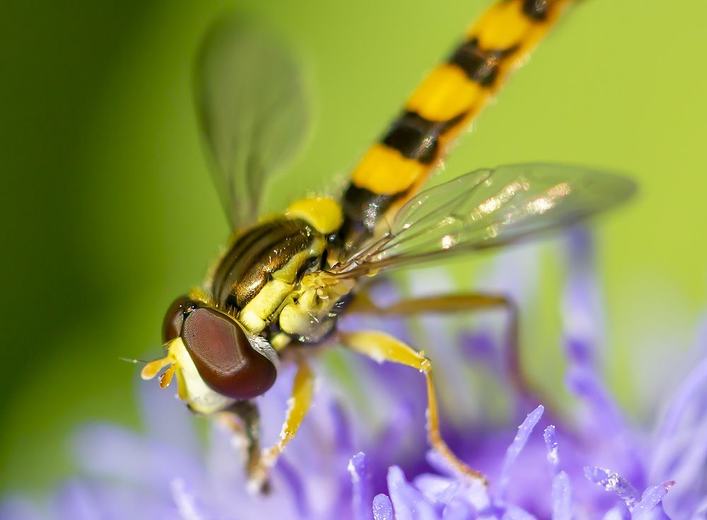 Photograph by Борис Платицин