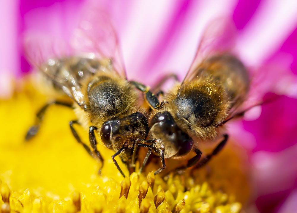 Photograph by Борис Платицин