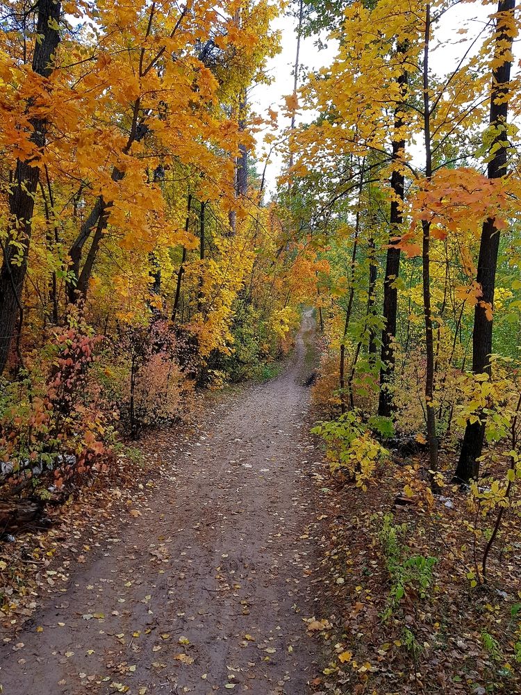 Photograph by Елена Поткина