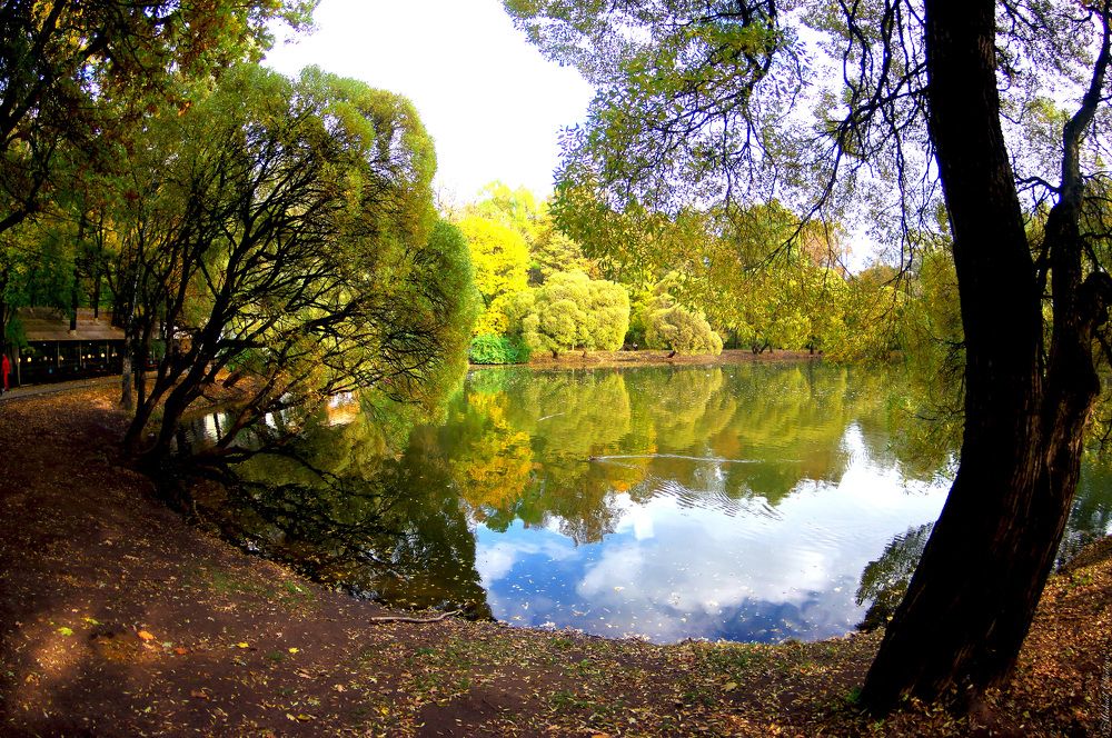 Photograph by Михаил Обертаев