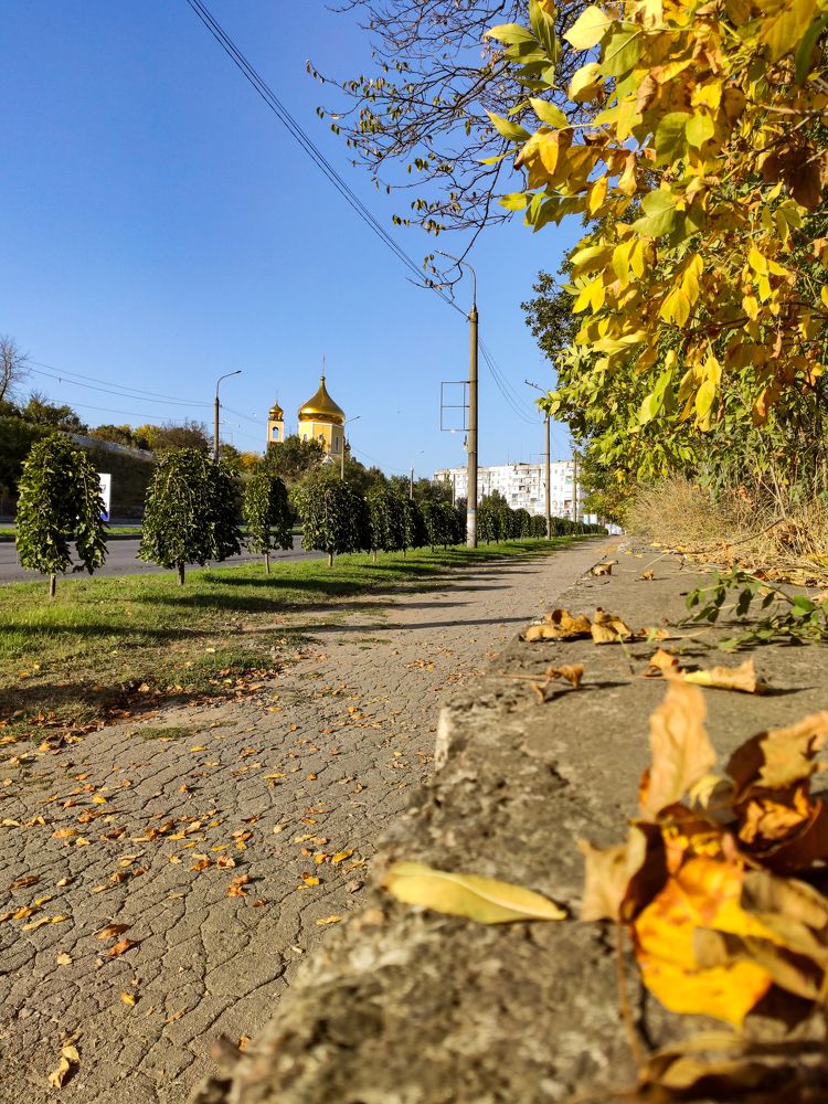 Золотистая пора