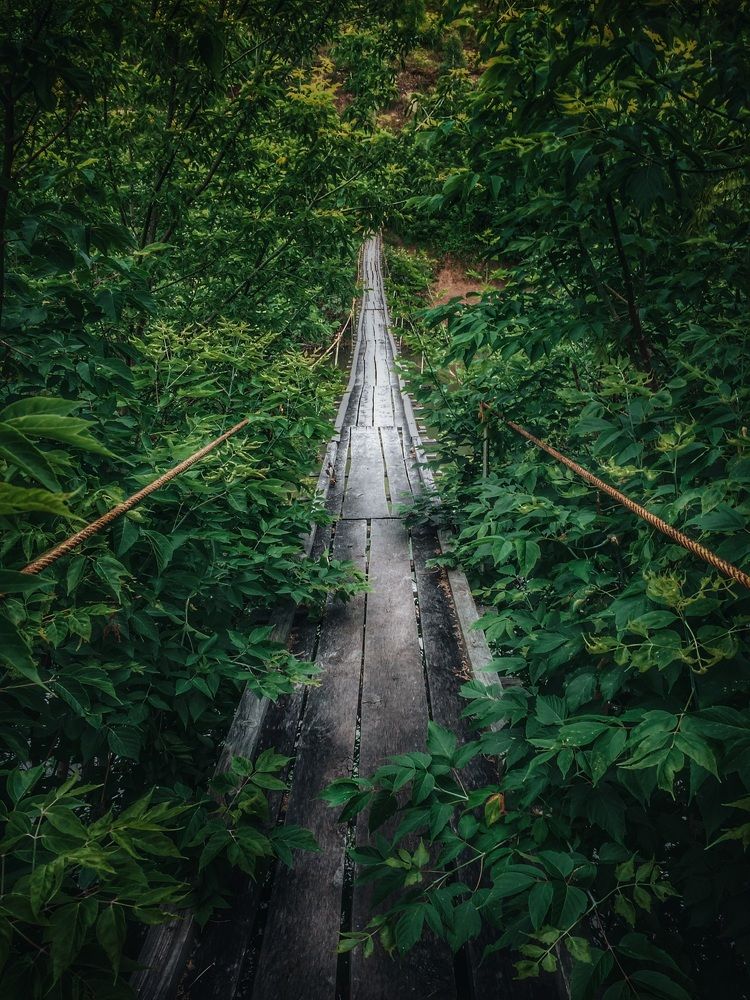 Photograph by Артур Гиниятуллин