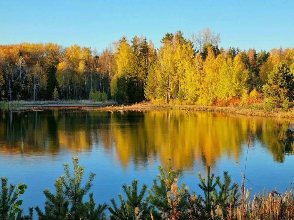 Photograph by Алексей Приешкин