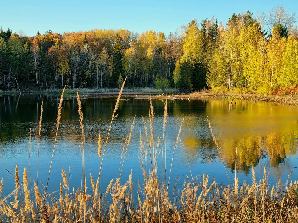 Photograph by Алексей Приешкин