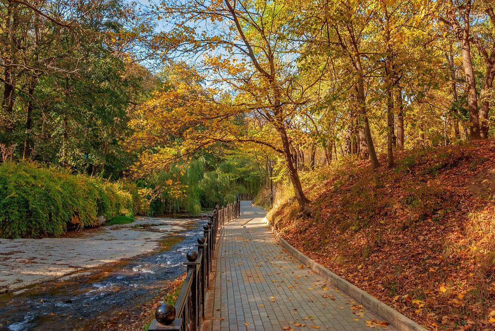 Photograph by Владимир Гамаюнов