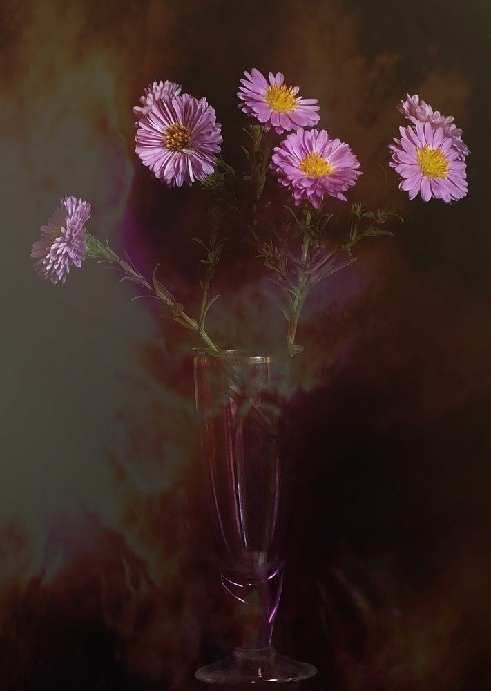 Photograph by Cornelia Ilie