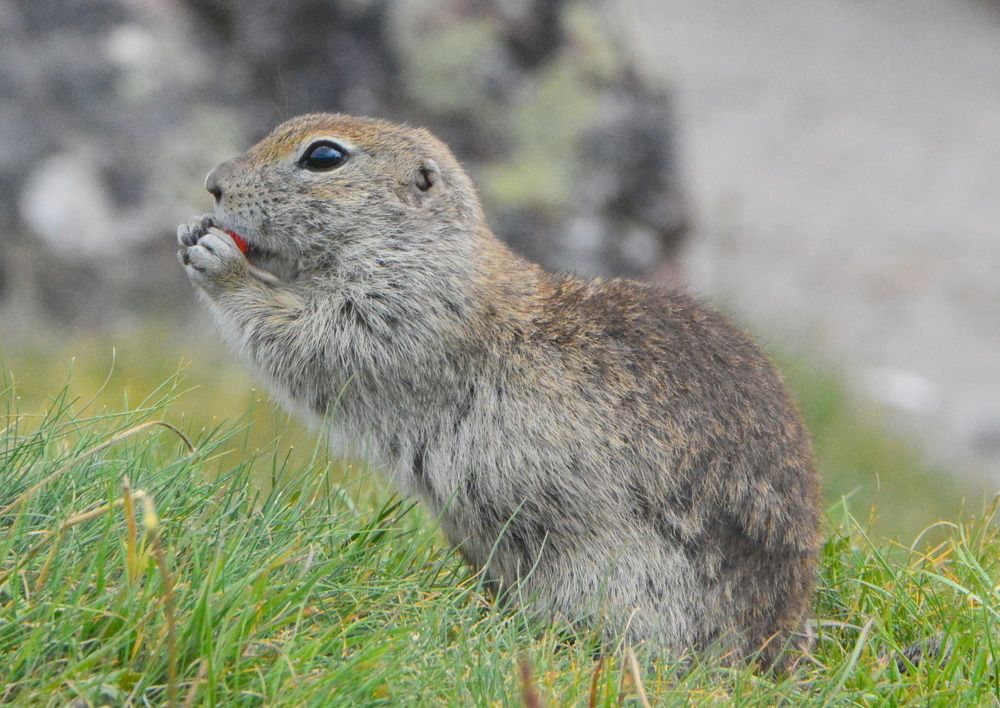 Photograph by Елена Поткина