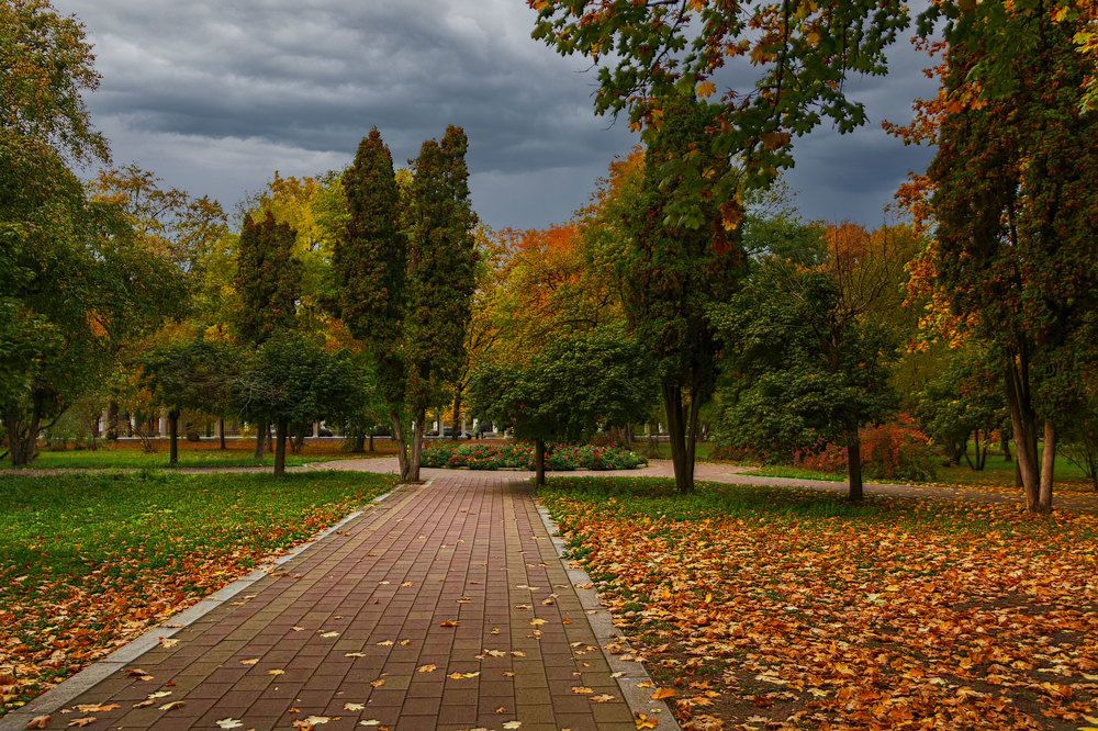Photograph by Владимир Гамаюнов
