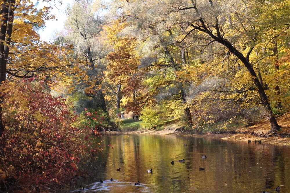 Photograph by Валентина