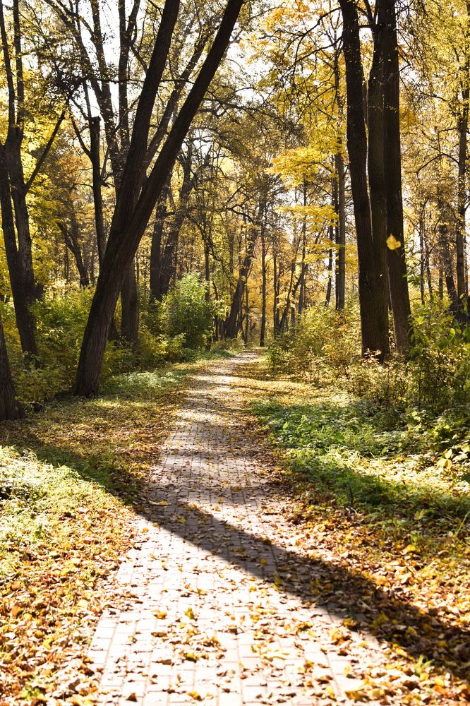 Photograph by Ирина Аникина