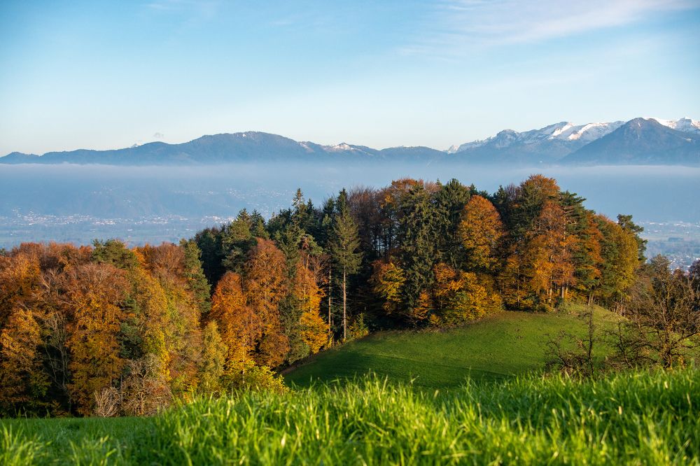 Photograph by James Graf