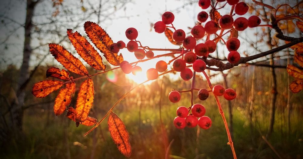 Photograph by Epp Tappel