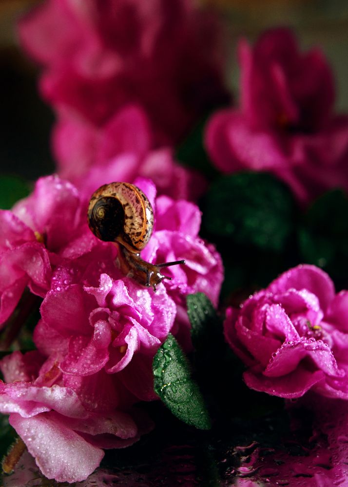 Photograph by Екатерина Саламайкина