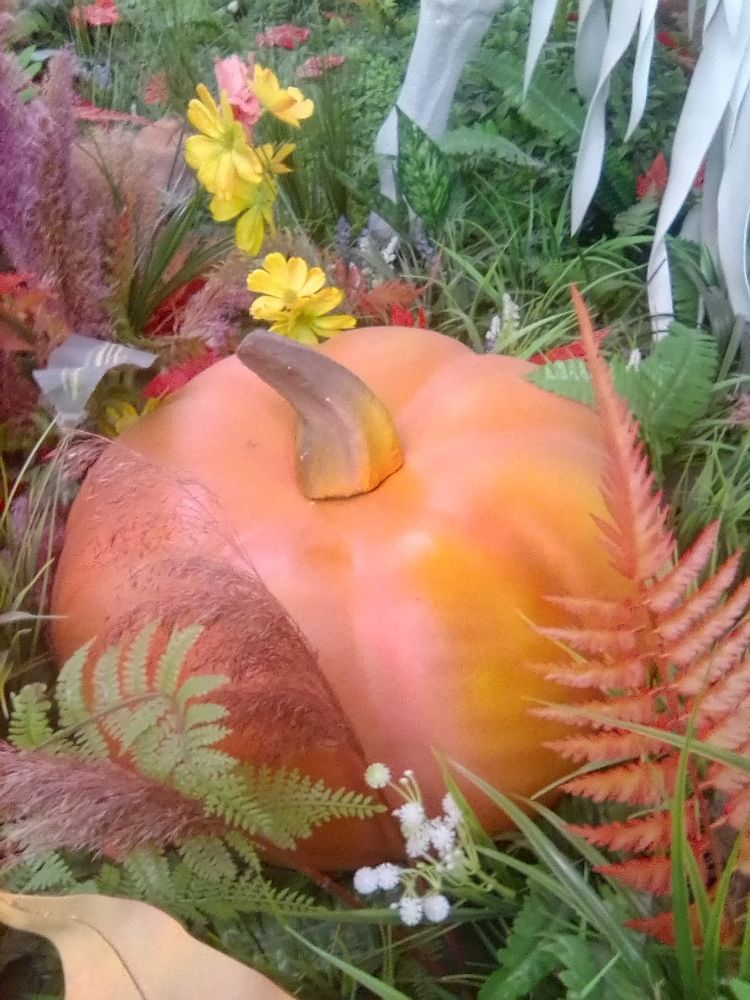 Photograph by Марта Васильева