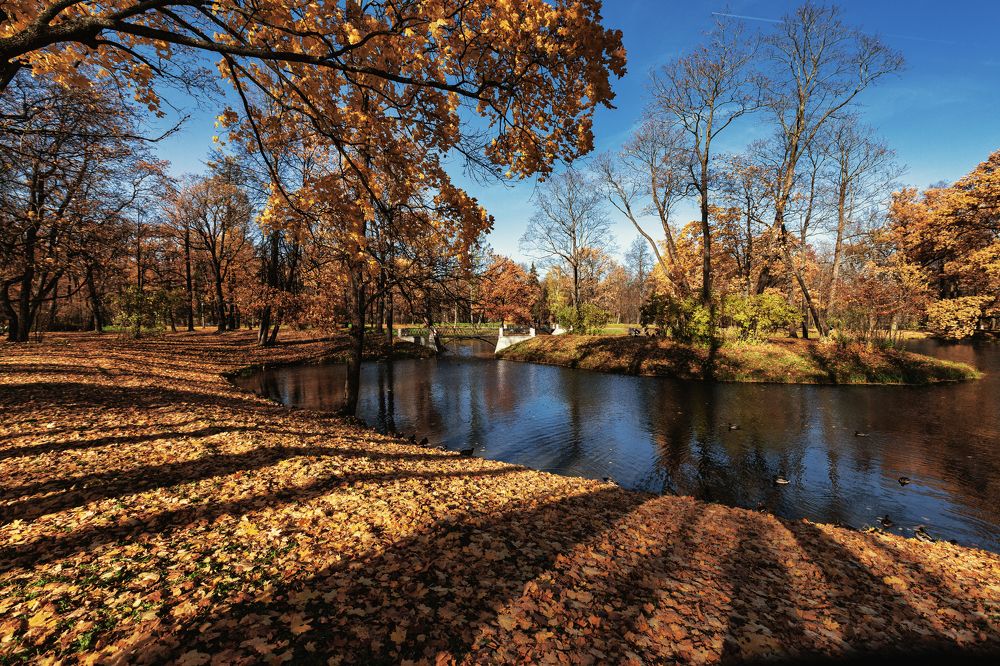 Photograph by Aleksandr Belov