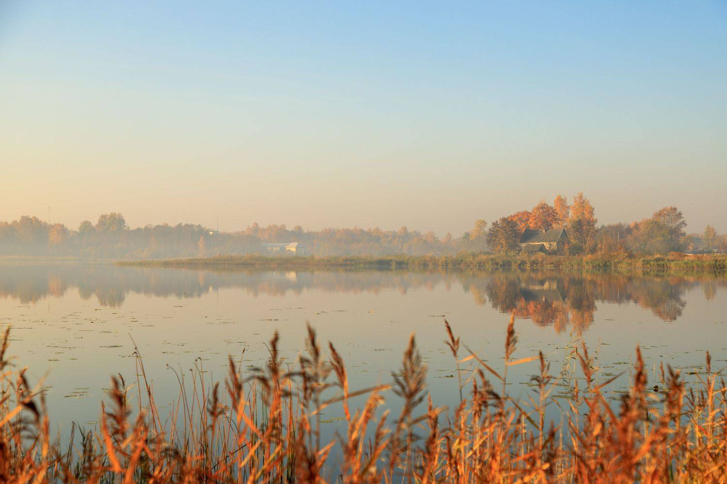 Фотография #6569508