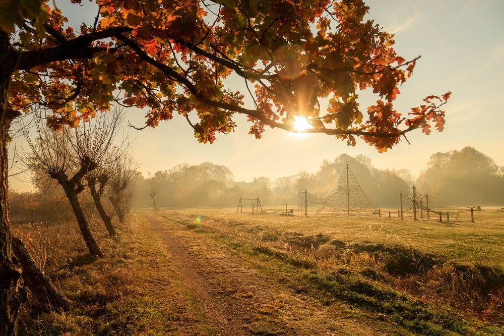Photograph by Илья Юфа