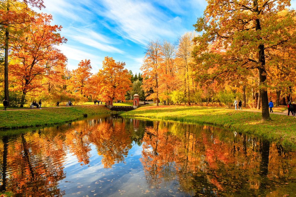 Photograph by Илья Юфа