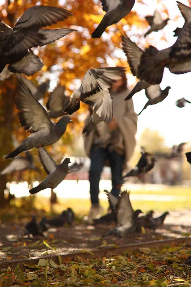 Photograph by Анна