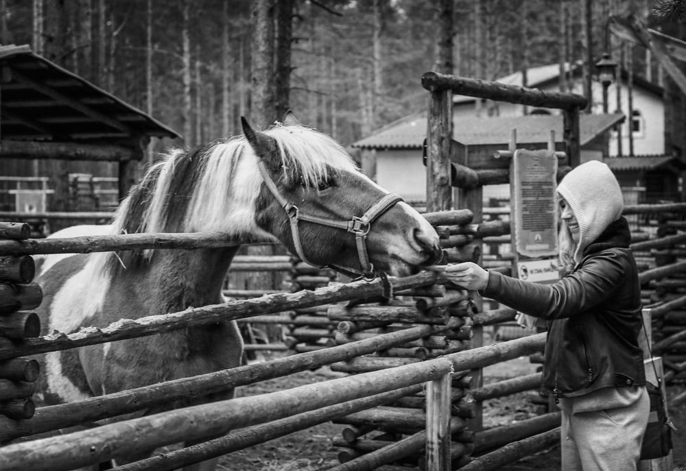 Photograph by Елена Ковалева