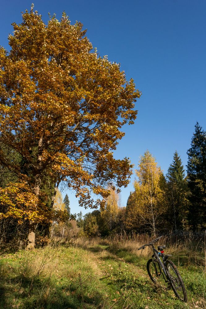 Photograph by Андрей Батранин