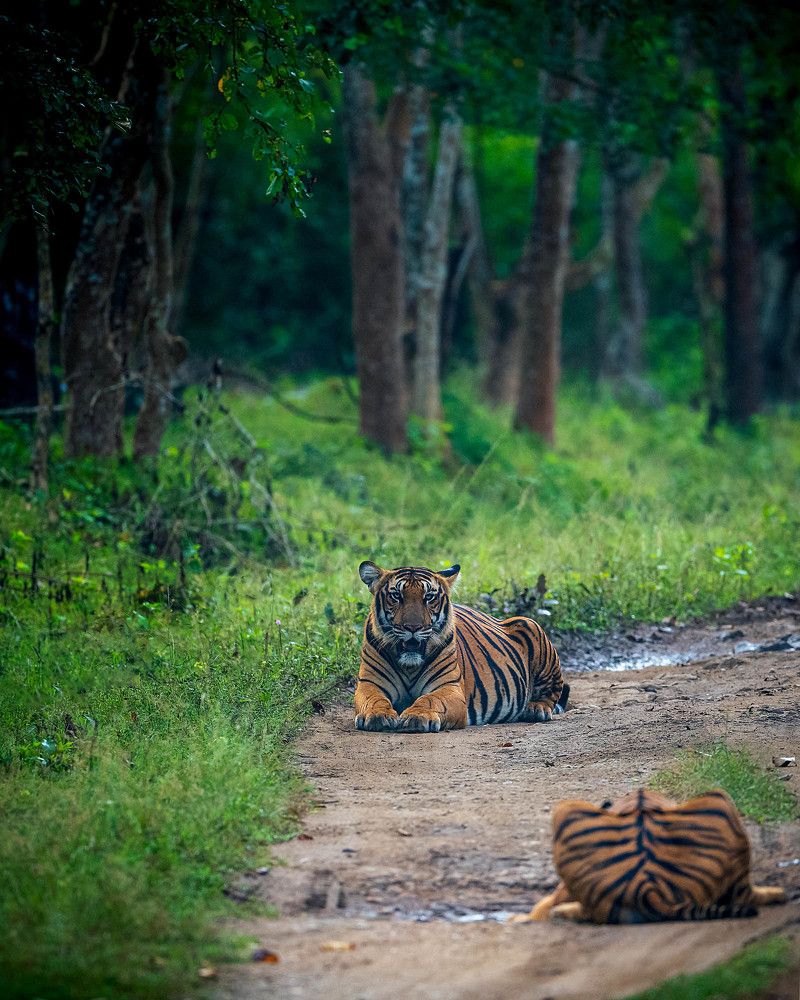 Photograph by Amal George