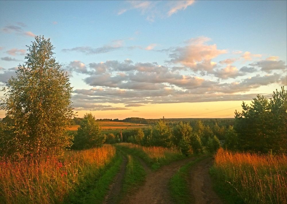 Photograph by Ольга