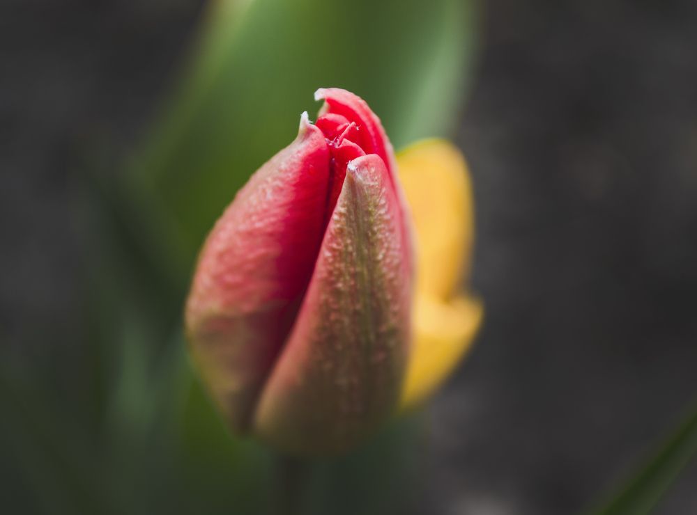 Photograph by Елизавета Большакова