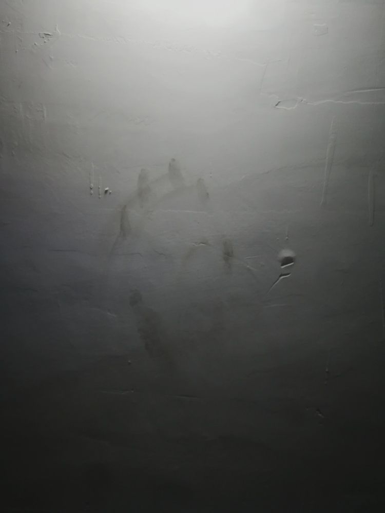 Photo #6569634