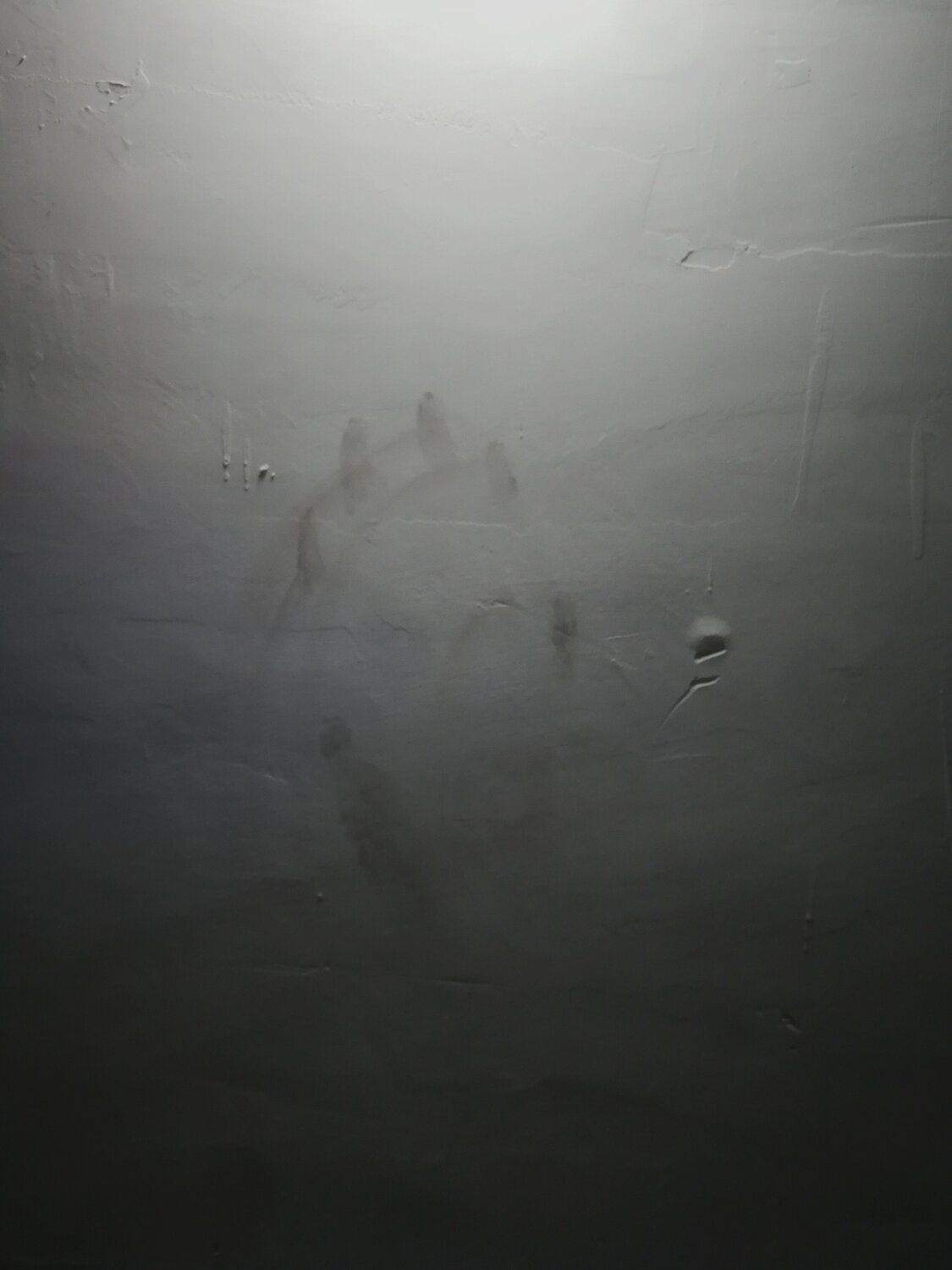 Photo #6569634
