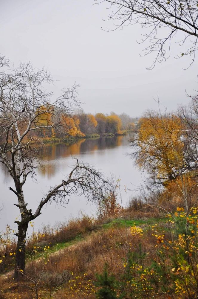 Photograph by Галина Лысых