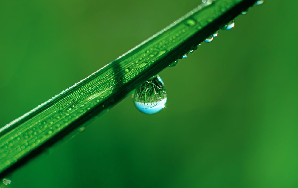 Photograph by Олег Зальвовский