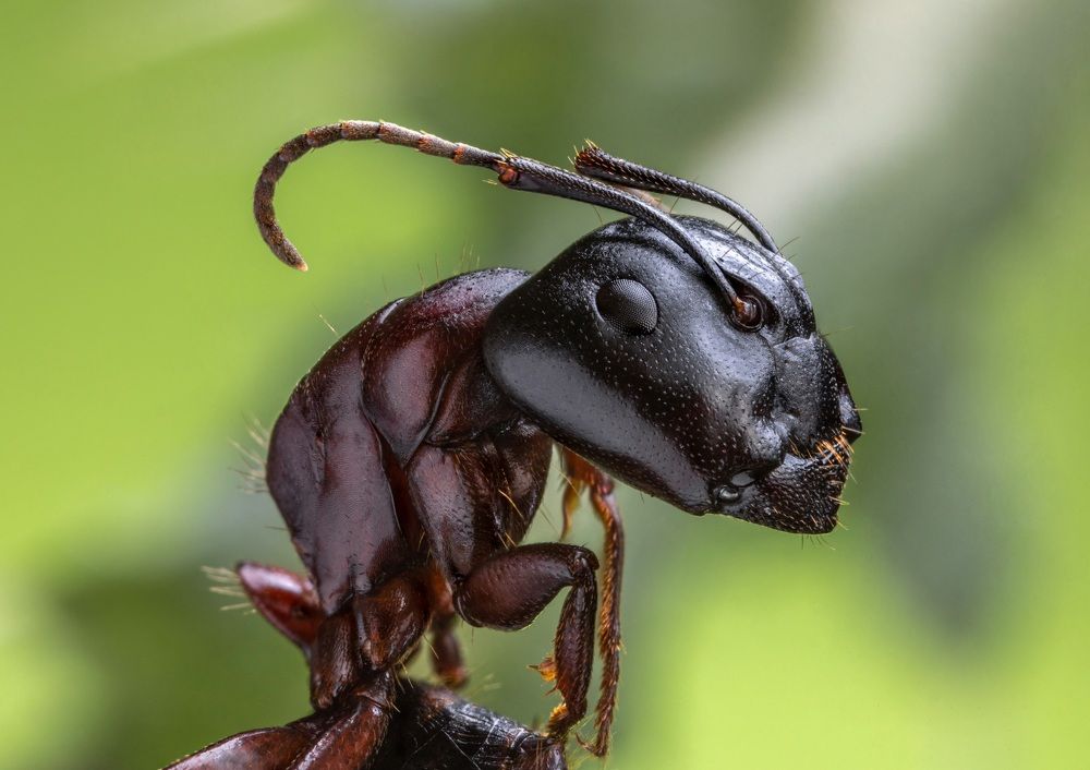 Photograph by Сергей Варыгин