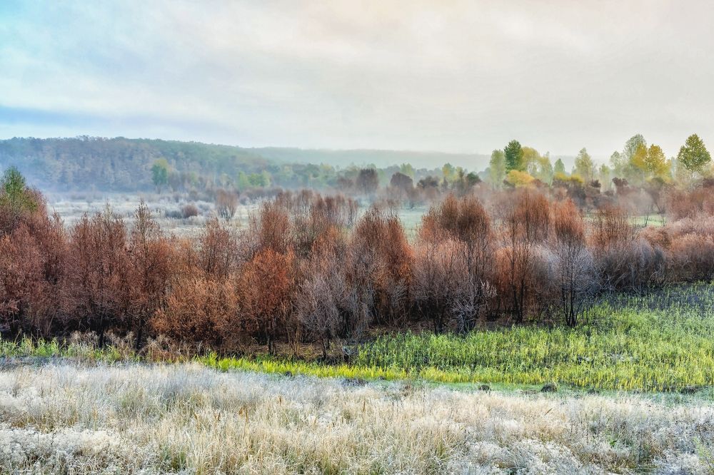 Осенним утром