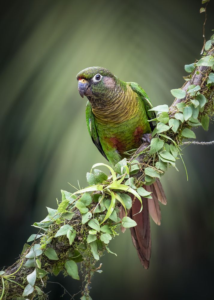 Photograph by André Inidio
