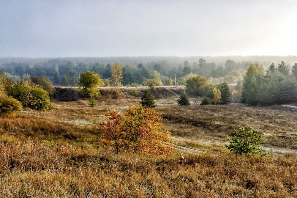 При утреннем сете..