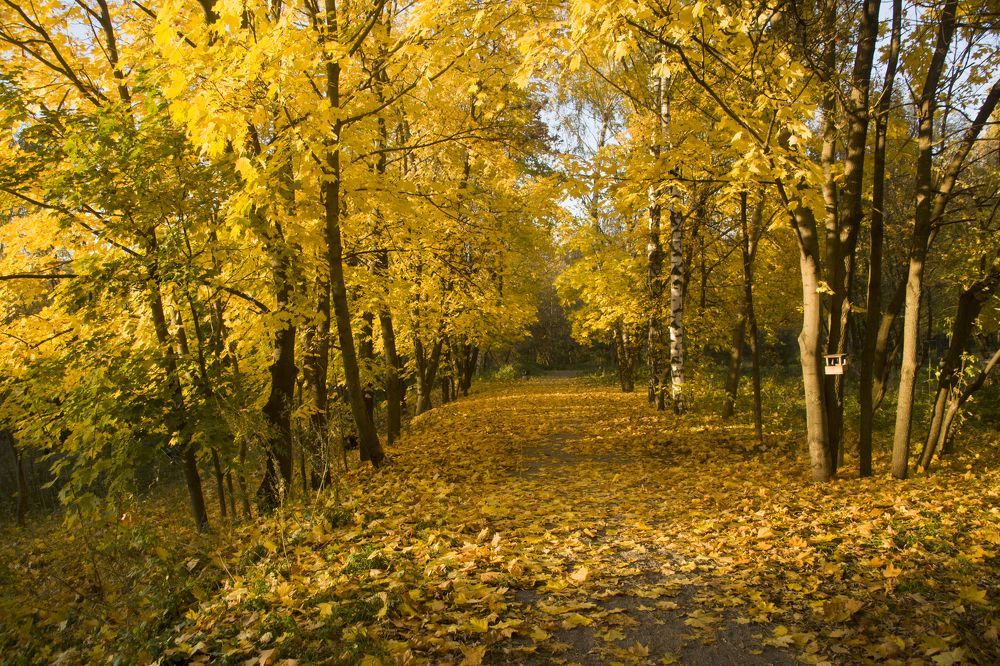 Photograph by Михаил Строев