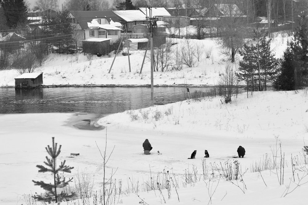 Photograph by Maria Chevina