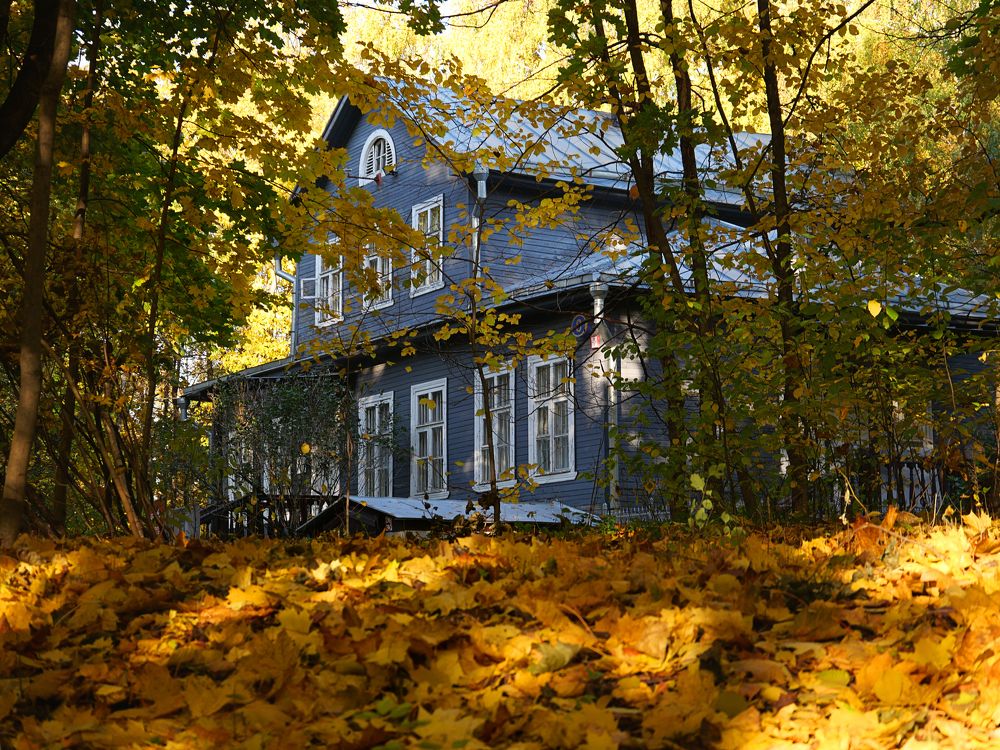 Photograph by Серафима Силина