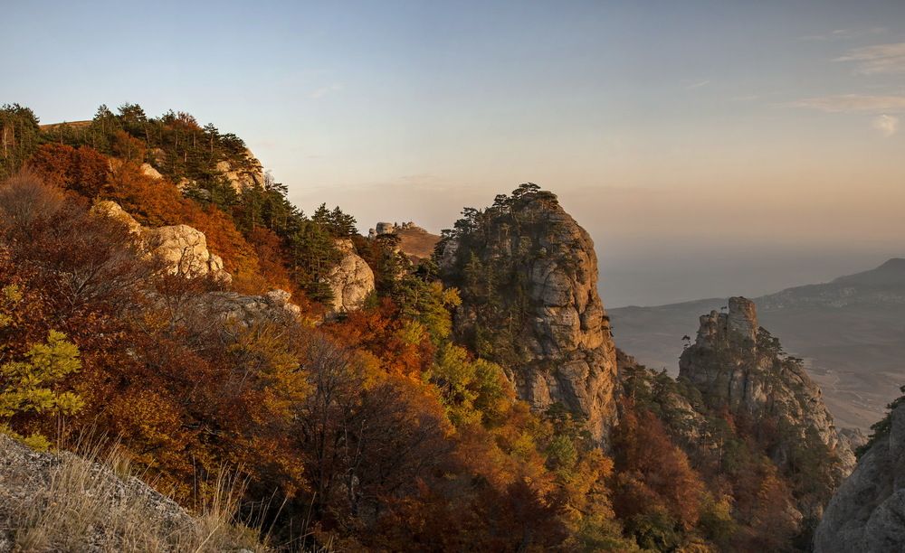 Photograph by ELENA VOLKOVA