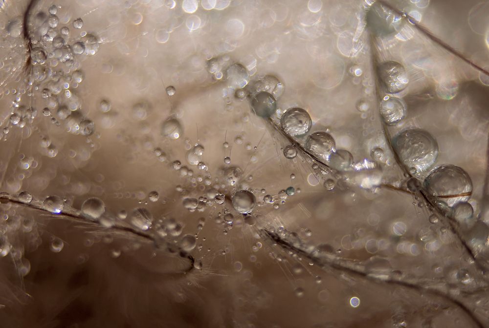 Photograph by Елена Вапняр