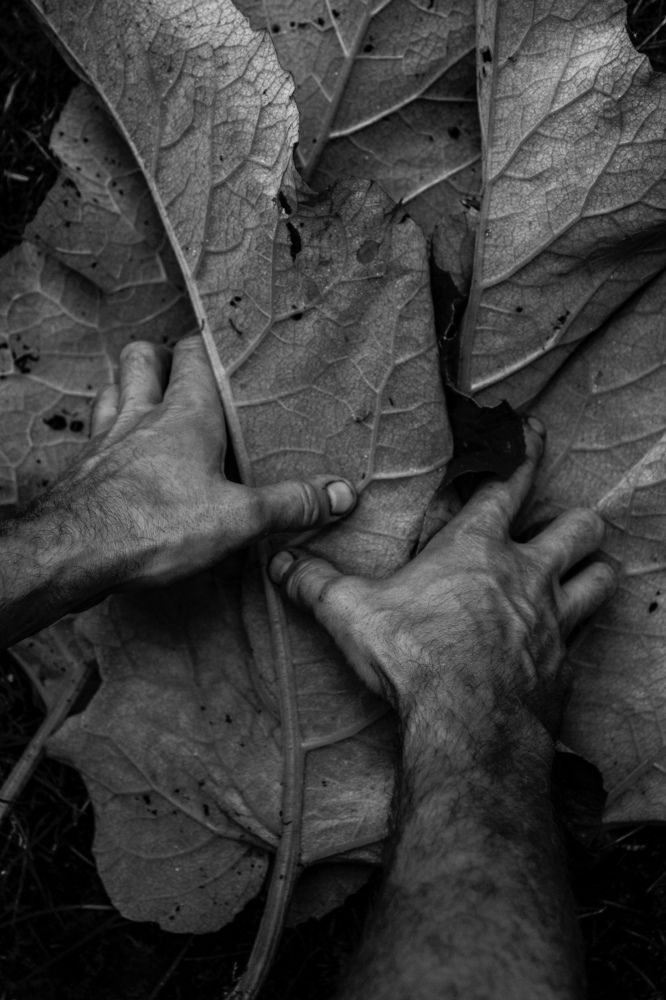 Фотография автора Зоя Малхова