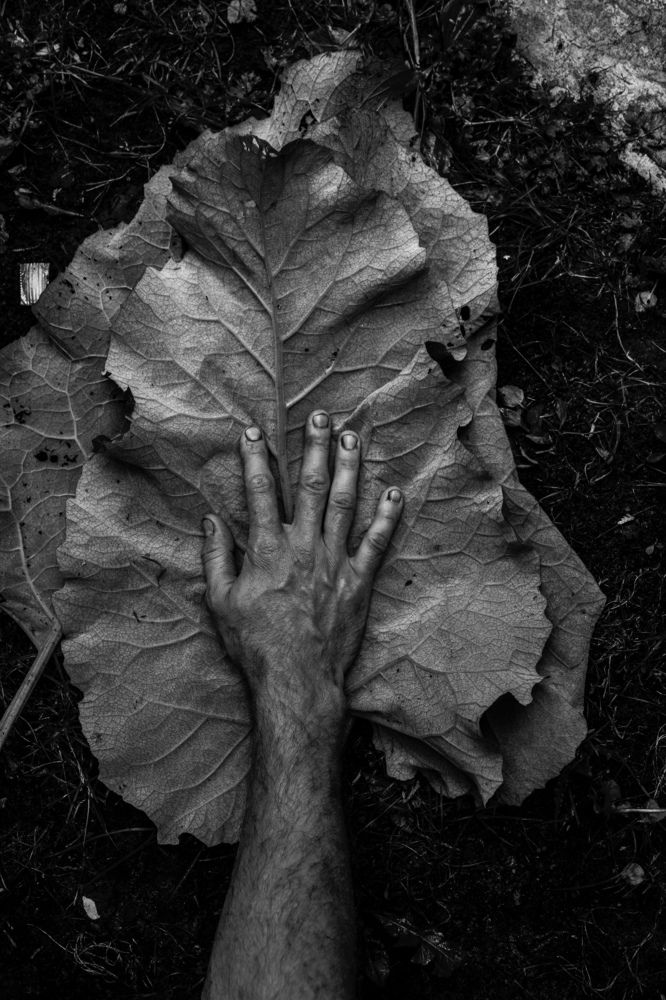 Фотография автора Зоя Малхова