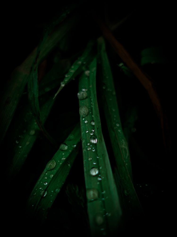 Photograph by Дмитрий Ронжин