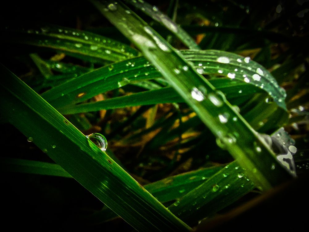 Photograph by Дмитрий Ронжин